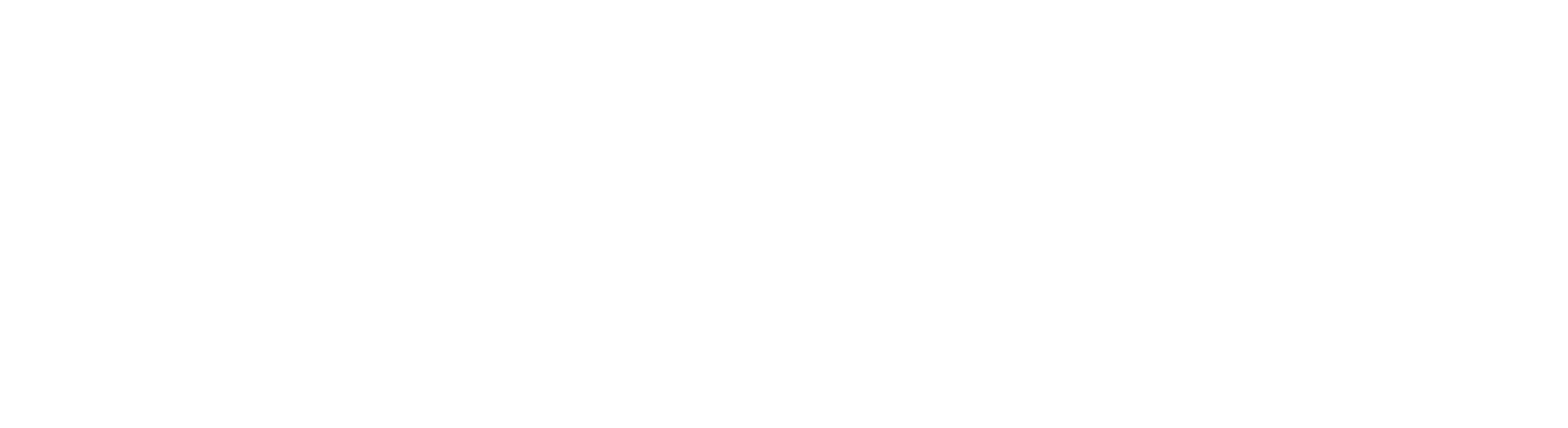 light logo